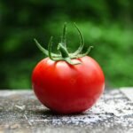 A fresh red tomato representing the Pomodoro technique for time management