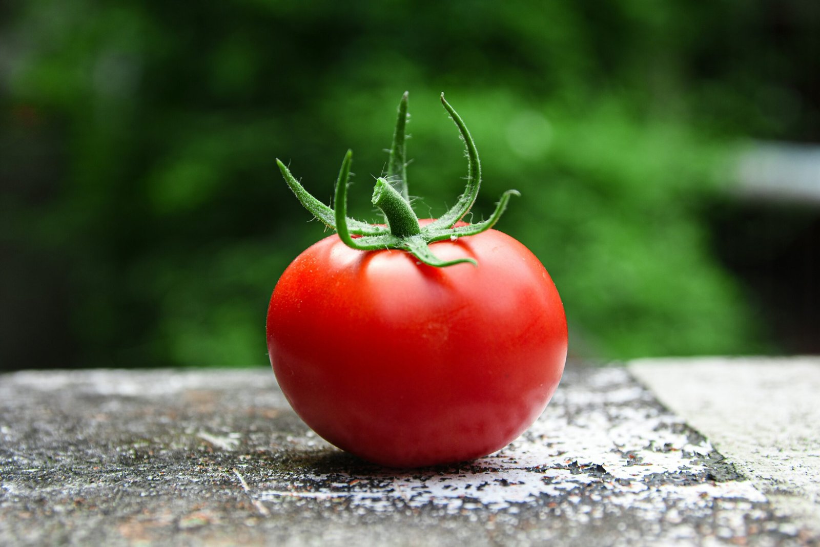 A fresh red tomato representing the Pomodoro technique for time management